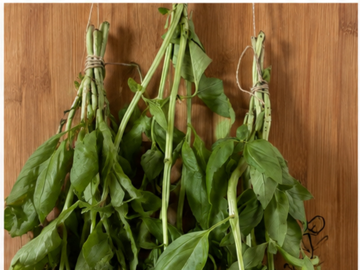Tied basil bundles hanging against a wooden board with space for airflow.